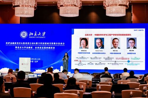 數(shù)字經(jīng)濟(jì)新引擎 2024拉薩金融商務(wù)區(qū)格?；ㄐ袆?dòng)招商引資洽談會啟航